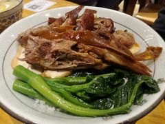 -狮头牌卤味研究所·卤味饭(花城汇南区店)