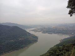 -铁山坪森林公园