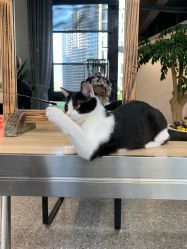 -In Beauty印诺时尚美发沙龙