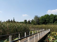 -同里国家湿地公园
