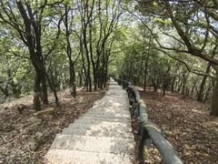 -梧桐山风景名胜区