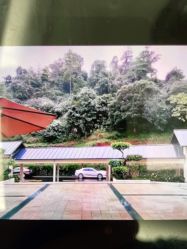 -爱帝宫月子中心(罗湖别墅院)