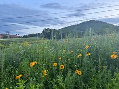 -长白山万达国际度假区