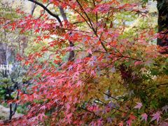 -青岛崂山太清宫