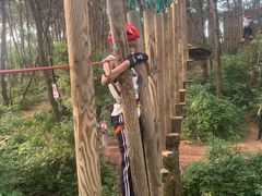 -芦仙山景区-飞越丛林探险乐园