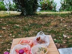 -两河城市森林公园