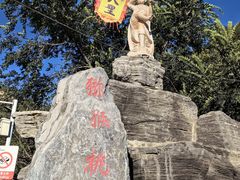 -大岭沟猕猴桃谷风景区