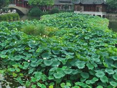 -龙潭水乡