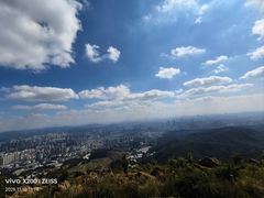 -长虫山生态公园风景林