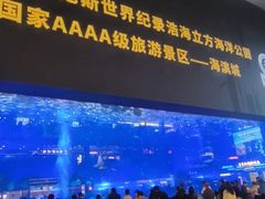 -成都浩海立方海洋公园