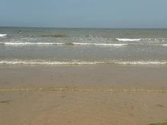 -日照海滨国家森林公园