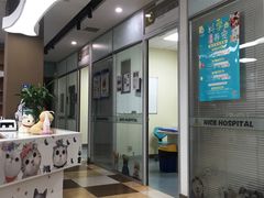 -奈斯宠物医院·核磁CT·异宠专科·内镜(中南店)