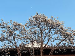 -杭州西湖柳莺里酒店·闻莺厅