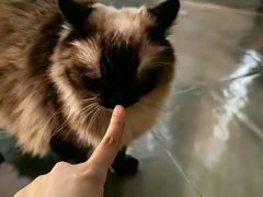 -Estaeslavida分享茄雪茄吧(亿彩购物中心店)