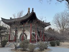 -迎泽公园