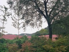 -昆嵛山石门里景区