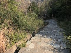 -桃花岭景区
