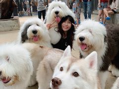 -TrueLove @ Neverland (Husky Cafe)