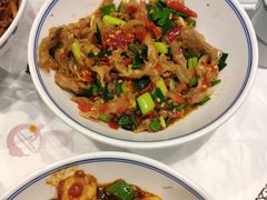 鸭掌筋-壹盏灯(惠农店)