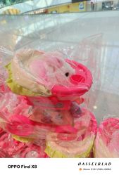 -DOINGDO遇见兜兜