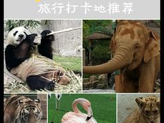 -上海野生动物园