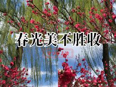 -新奥购物中心