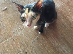 -新开元大酒店(花雨路店)