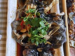 -京北渔家傲