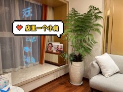-唯奈斯肌肤管理中心