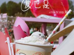 -顾村公园