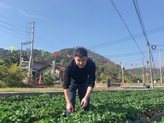 -广州都喜泰丽温泉度假酒店