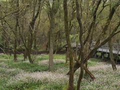 -西湖风景区-江洋畈生态公园