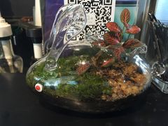 -穆拉诺餐厅(上海玻璃博物馆店)