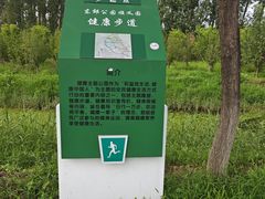 -东郊湿地公园