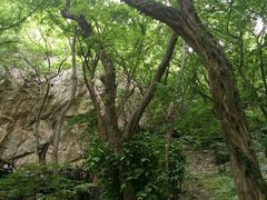 -皇藏峪国家森林公园
