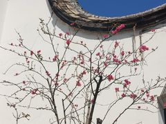 -乌山风景区