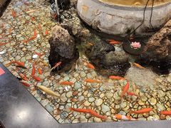 -万荣烤鸭店·北京菜(天坛店)