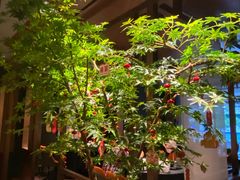 -肆月河豚·淮扬菜·湘菜(华天店)