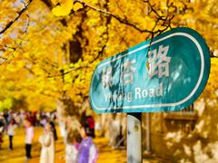 -辽宁大学(崇山校区)