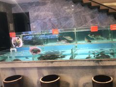 水产区-饭怕鱼(阳光100店)