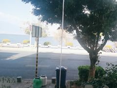 -野菌皇海景野生菌火锅(滨海大道店)
