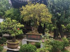 -万景茶庄·台州菜