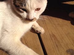 -北海市海滨公园