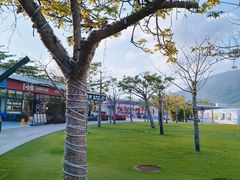 -亚龙湾中心广场