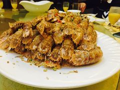 -五谷芳乳鸽王（大梅沙总店C区）(网红打卡店)