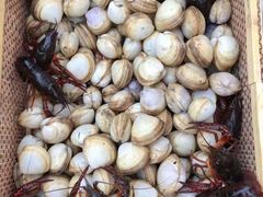 -南汇新城海滩