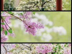 -恭王府博物馆