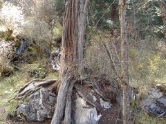 -常熟路(地铁站)