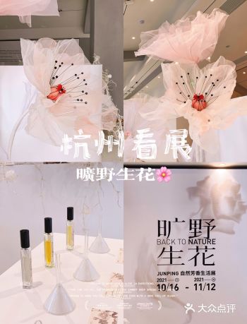杭州0元探展 | 他们把这片旷野搬到了西湖边