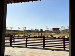 -洛阳古墓博物馆